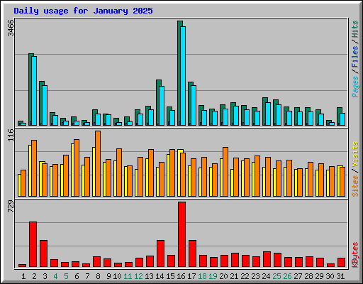 Daily usage for January 2025