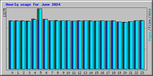 Hourly usage for June 2024