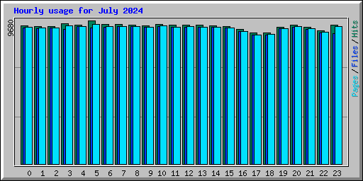 Hourly usage for July 2024