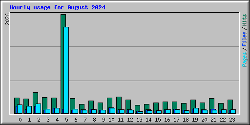 Hourly usage for August 2024