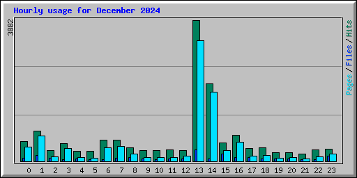 Hourly usage for December 2024