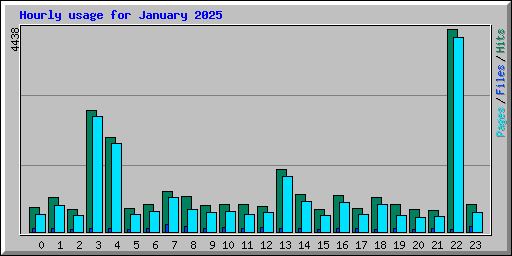 Hourly usage for January 2025