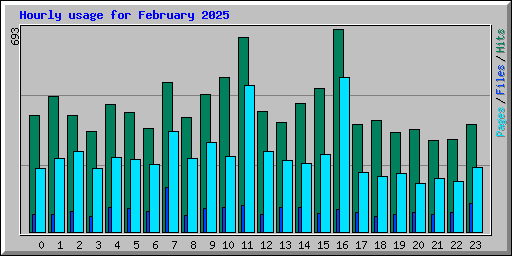 Hourly usage for February 2025